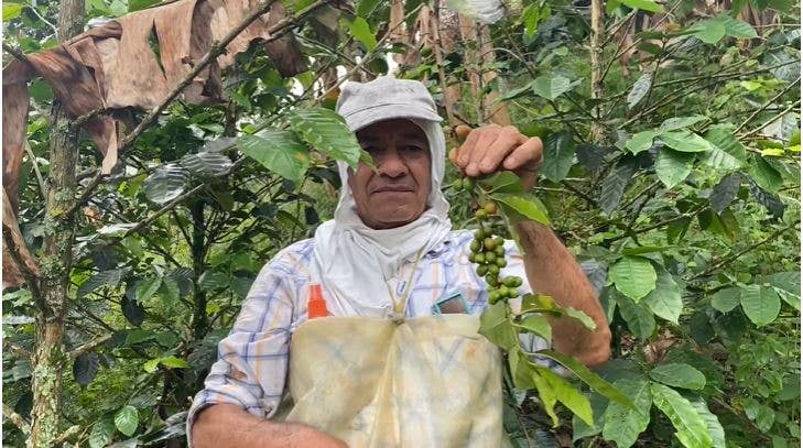 Kaffebønner fra Colombia - Las Margaritas (1 kg)